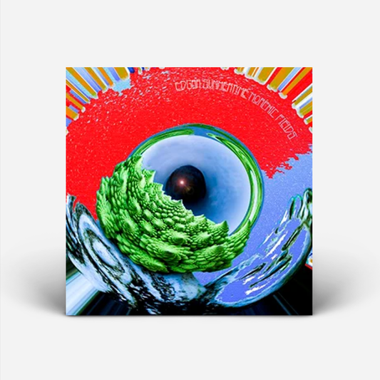 Morphic Fields LP (2013)